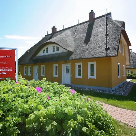 Sonnenhut Links - #119559 * Ahrenshoop