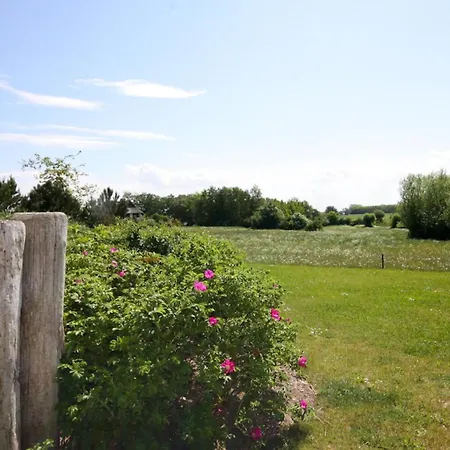 Sonnenhut Links - #119559 *
